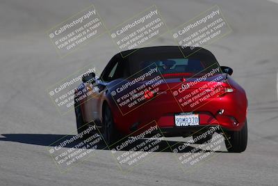 media/Nov-19-2023-Extreme Speed (Sun) [[bd0eec5490]]/Purple/Back Shots/